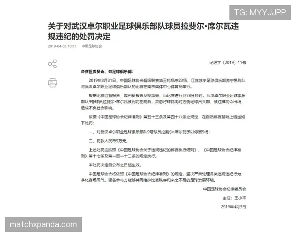 足球禁赛规则详解：判罚条件与处罚执行标准解析